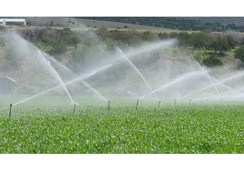 Terrace Garden Services Provider in Noida