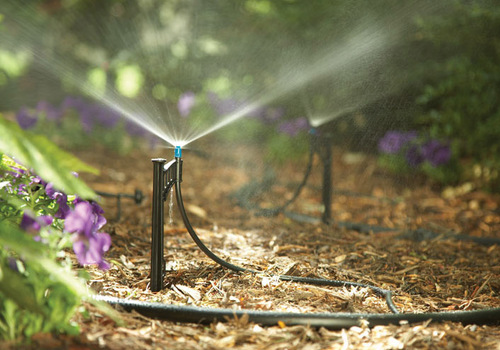 Terrace Garden Services Provider in Noida