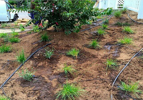 Terrace Garden Services Provider in Noida