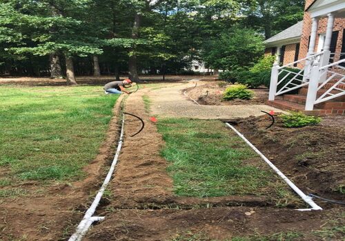Terrace Garden Services Provider in Noida