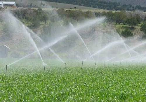 Terrace Garden Services Provider in Noida