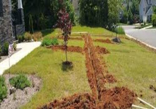 Terrace Garden Services Provider in Noida