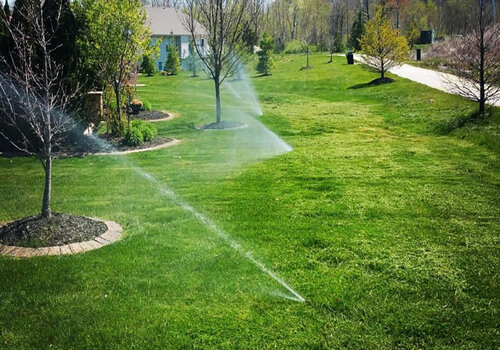 Terrace Garden Services Provider in Noida