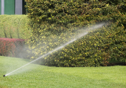 Terrace Garden Services Provider in Noida