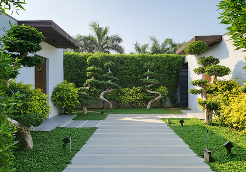 Terrace Garden Services Provider in Noida