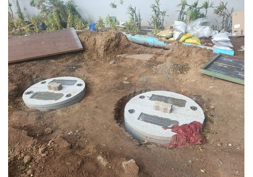 Terrace Garden Services Provider in Noida