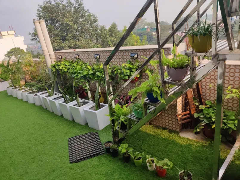 Balcony Gardens