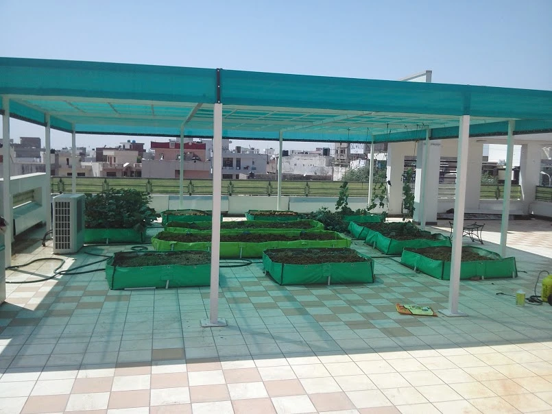 Terrace Gardens