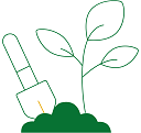 Consider taking Green Roof & Green Wall Services in Gurgaon
